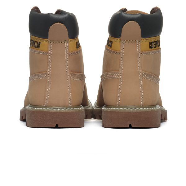 CAT Colorado 2.0 P110428