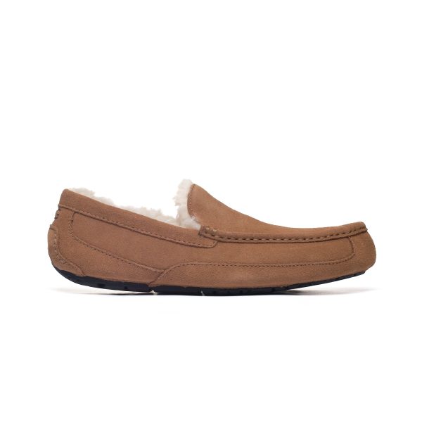 UGG ASCOT CHESTNUT M 1101110-CHE