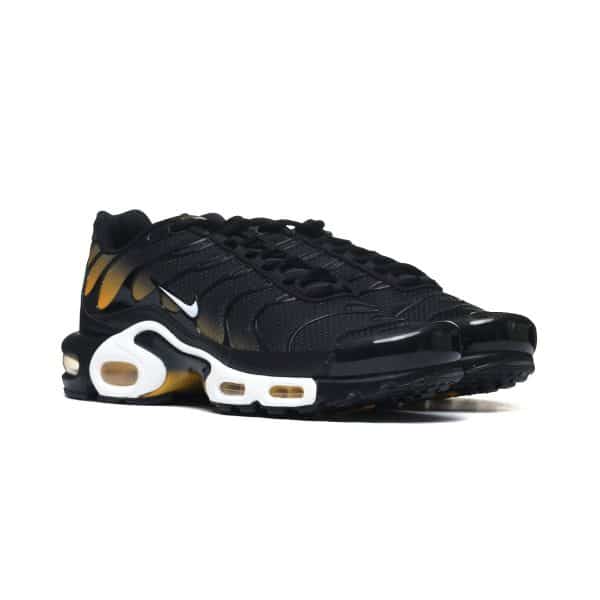 Nike AIR MAX PLUS DM0032-013