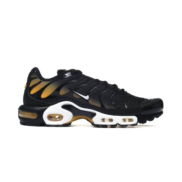 Nike AIR MAX PLUS DM0032-013