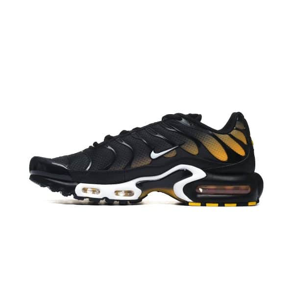 Nike AIR MAX PLUS DM0032-013