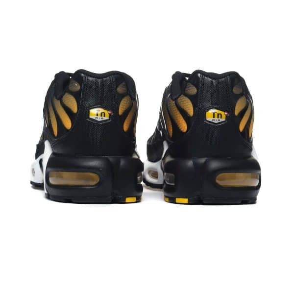 Nike AIR MAX PLUS DM0032-013