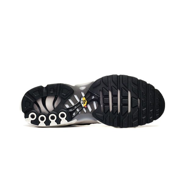 Nike AIR MAX PLUS DM0032-106