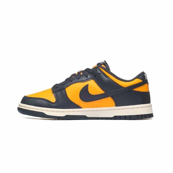 Nike Dunk Low Retro HF5441-700