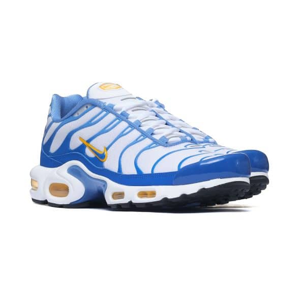 Nike Air Max Plus IF6224-100