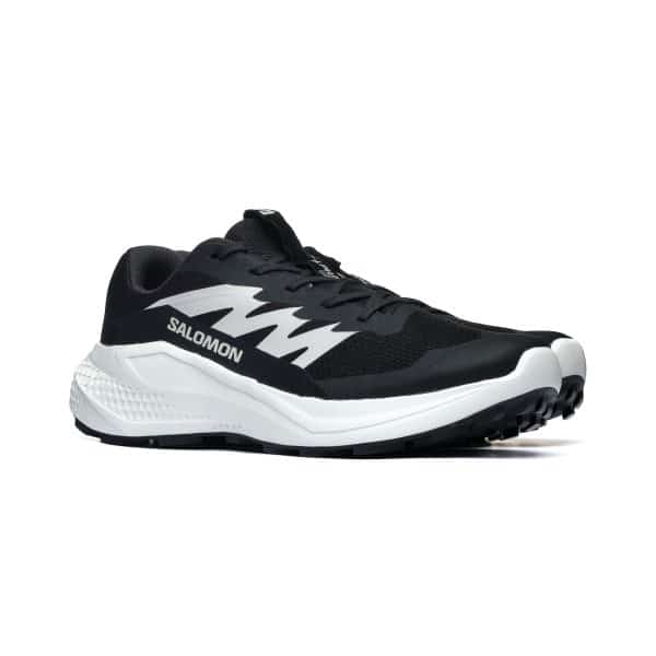 Salomon ALPHAGLIDE L47801000