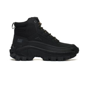 CAT INTRUDER P111559