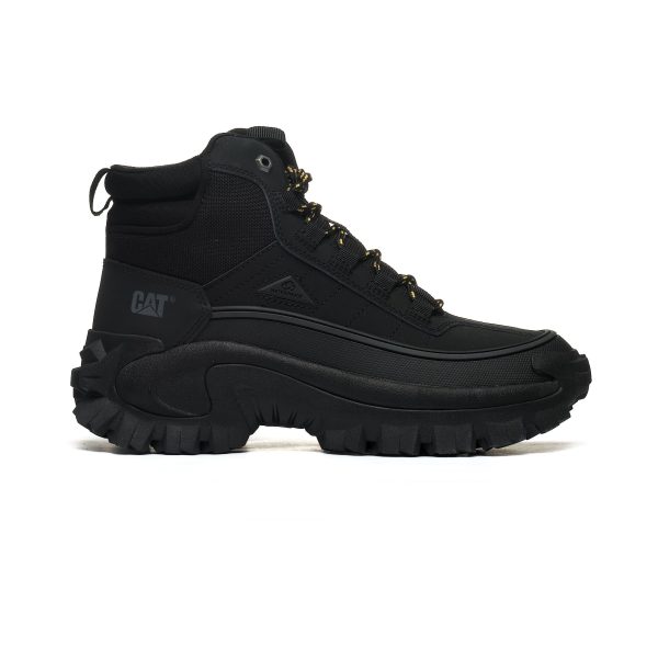 CAT INTRUDER P111559