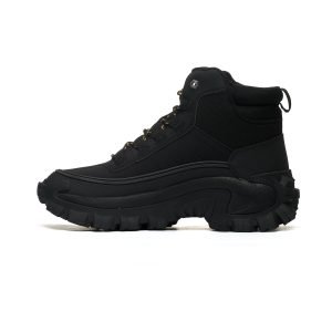 CAT INTRUDER P111559