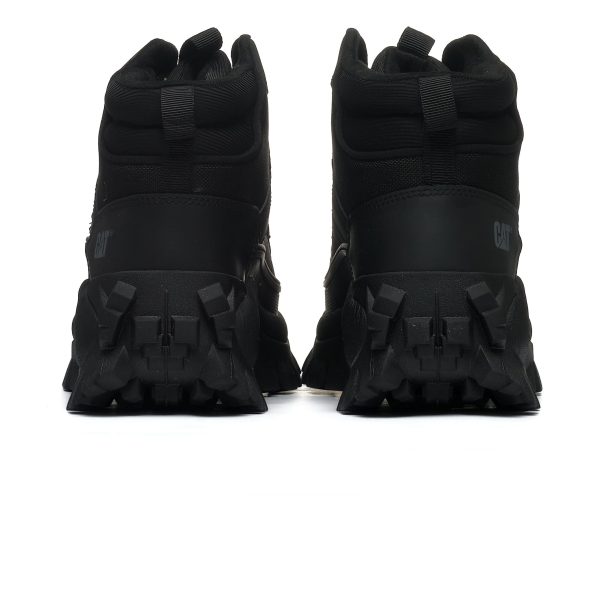 CAT INTRUDER P111559