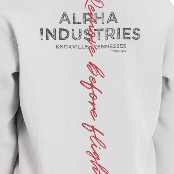Alpha Industries Signature Backprint Hoodie 148341