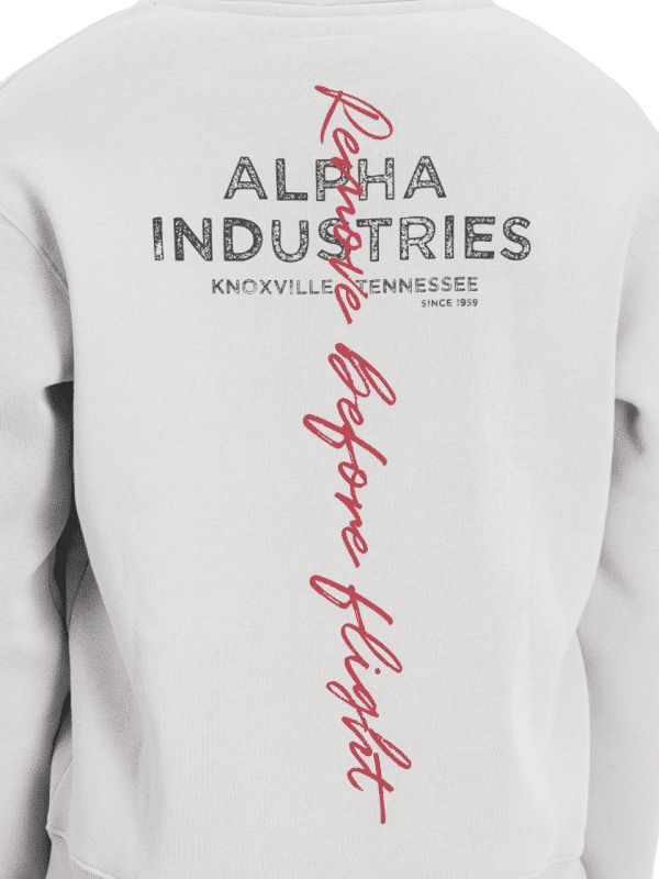 Alpha Industries Signature Backprint Hoodie 148341
