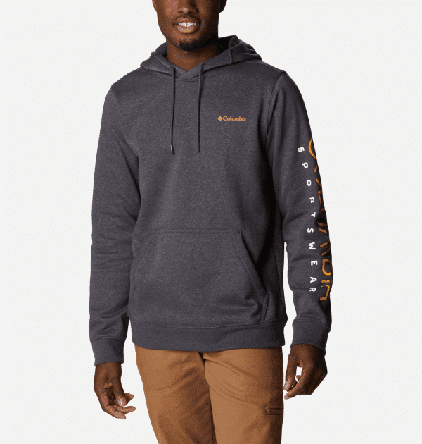 Columbia CSC Basic ogo II Hoodie 1681664008