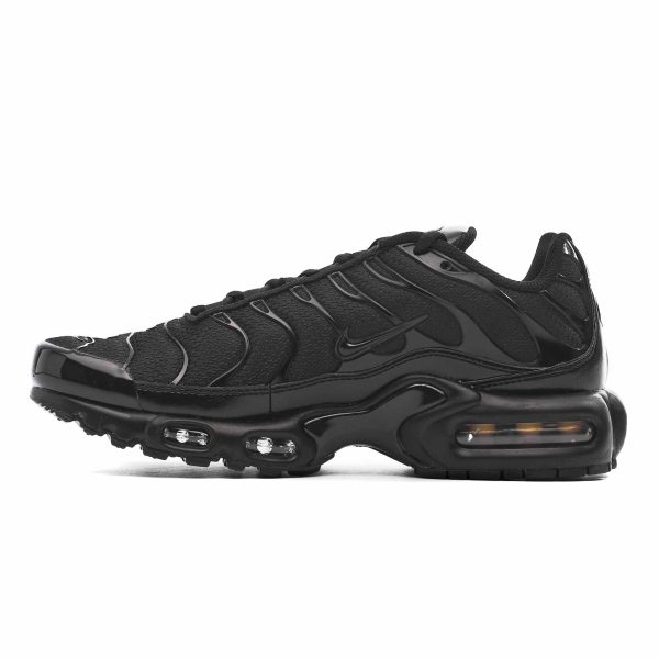 NIKE AIR MAX PLUS 604133-050