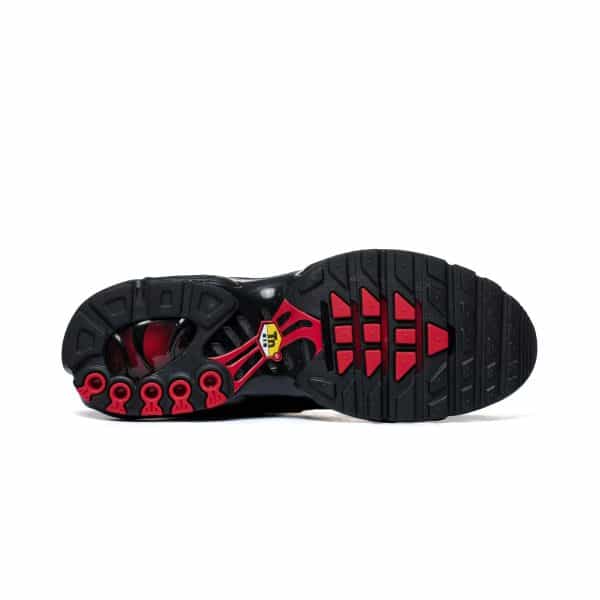 Nike Air Max Plus Tuned Air IH59-001