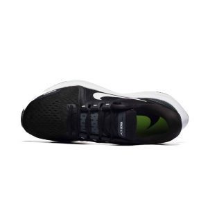 Nike AIR ZOOM PEGASUS 38 DA7245-001