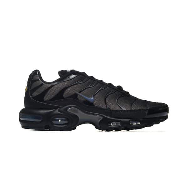 Nike AIR MAX PLUS DM0032-018