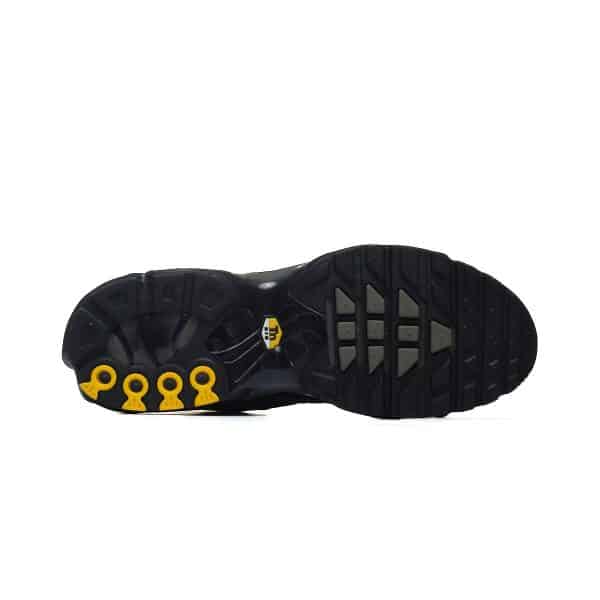 Nike AIR MAX PLUS DM0032-018