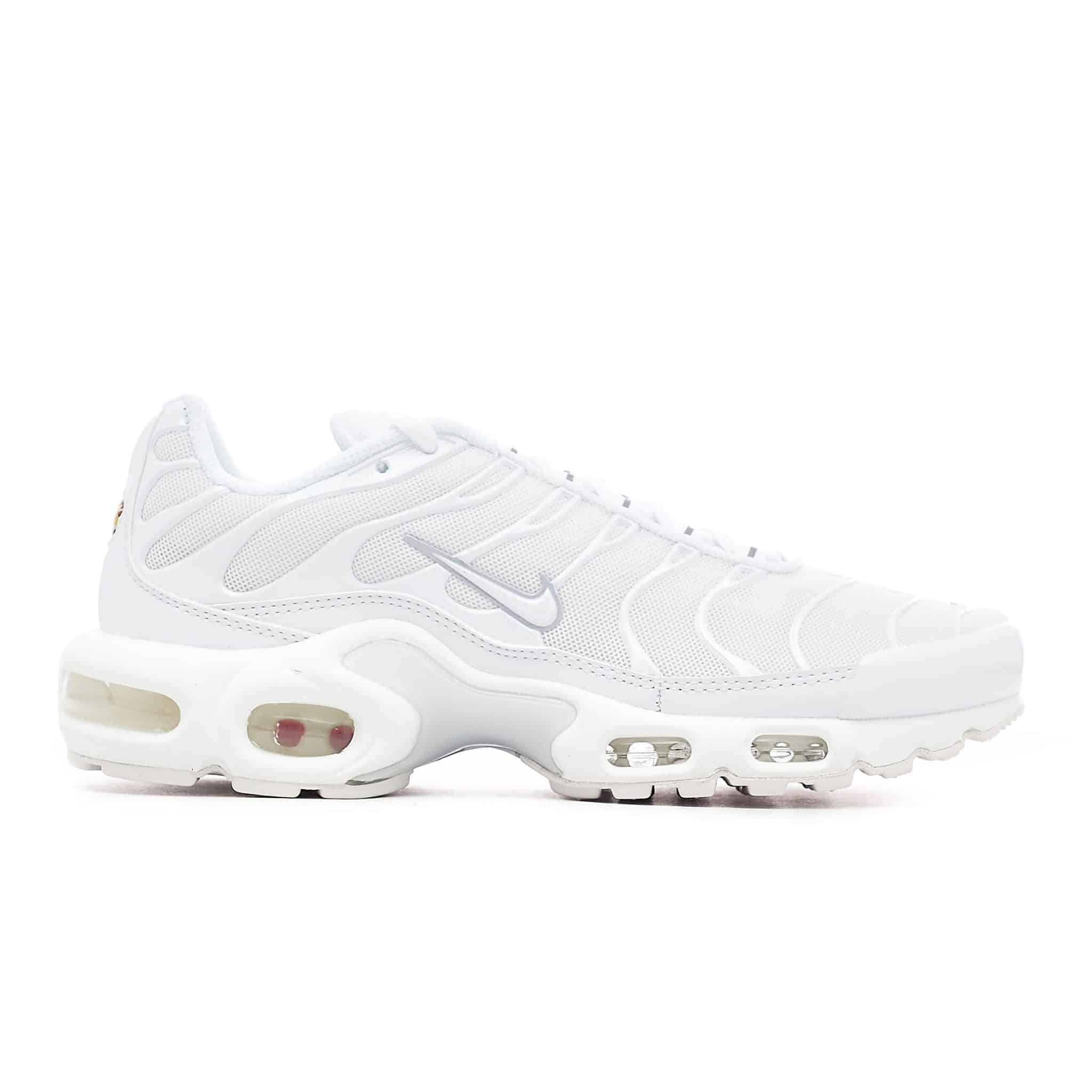 Nike WMNS AIR MAX PLUS DM2362-100