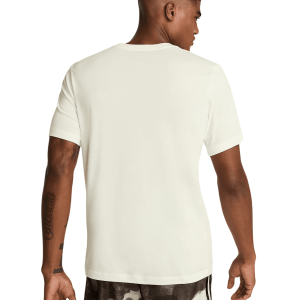 Nike M NK DF TEE OC 2 MENS HJ3352-133