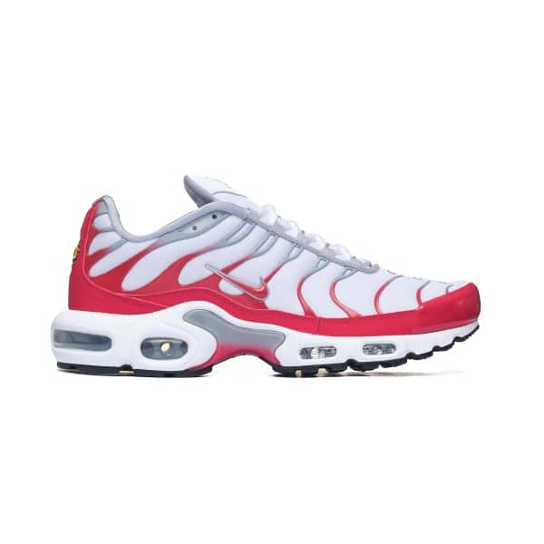 Nike Air Max Plus IF6224-101