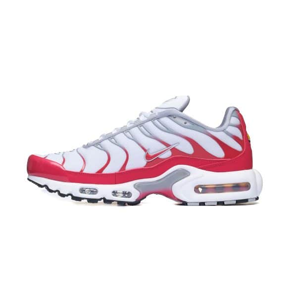 Nike Air Max Plus IF6224-101