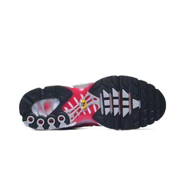 Nike Air Max Plus IF6224-101