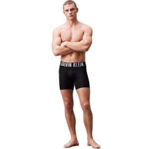 Calvin Klein Intense Power Micro 3-Pack Boxer Brie 000NB3612A-UB1