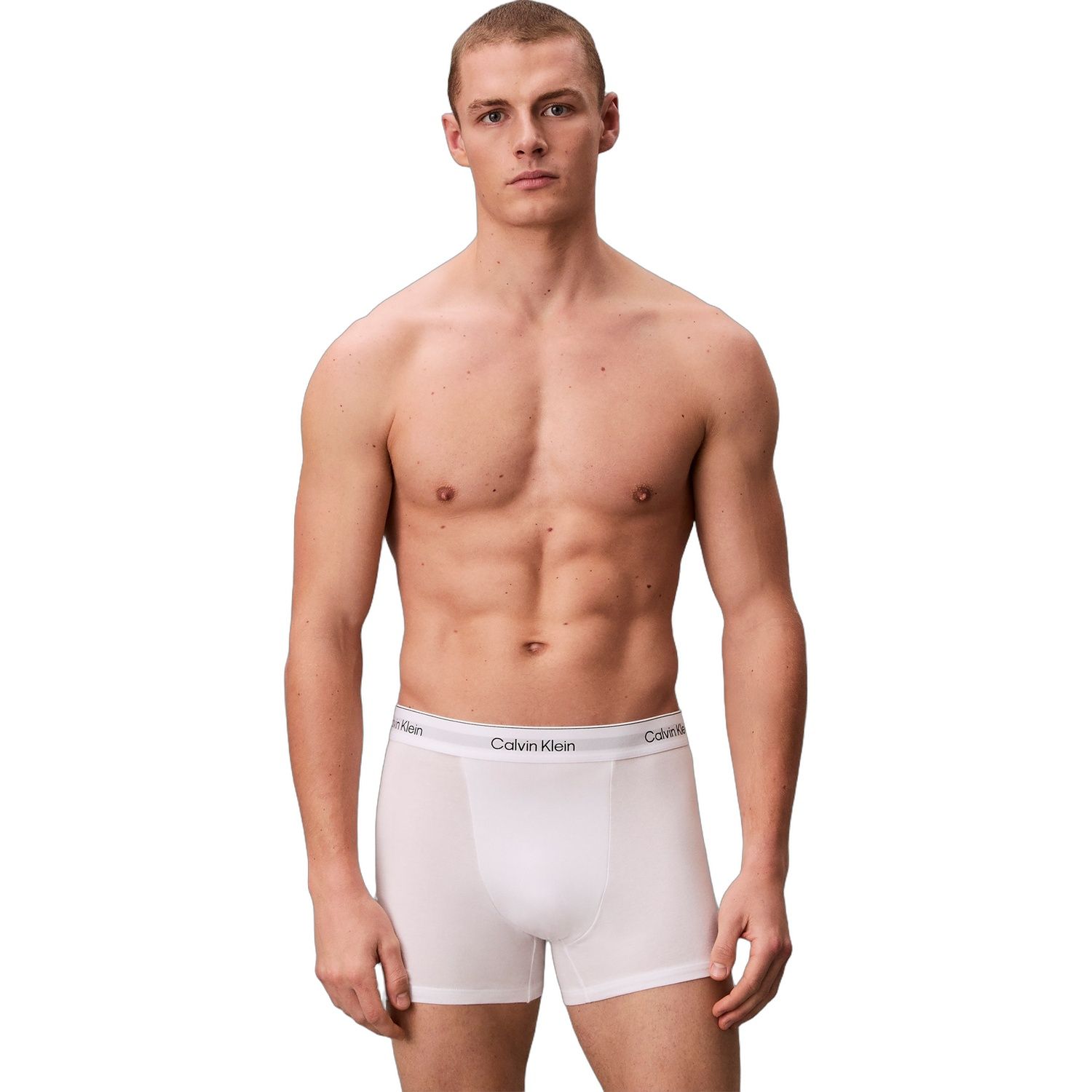 Calvin Klein RELAXED FIT TRUNK 3PK LV00NB4286-MP1 - obrazek 2