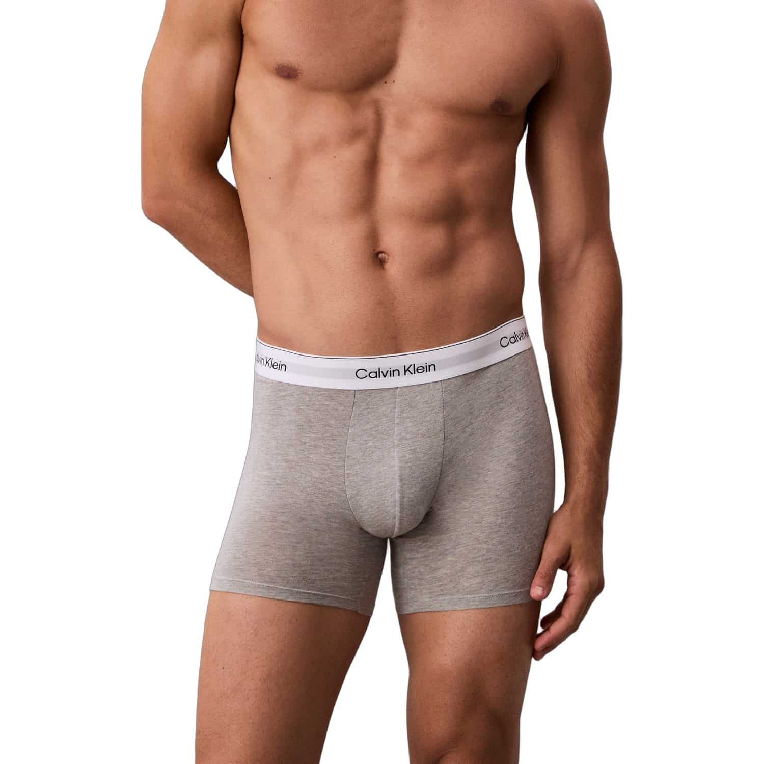 Calvin Klein Icon Cotton Stretch 3-Pack Boxer Brie LV00NB4394-MP1 - obrazek 4