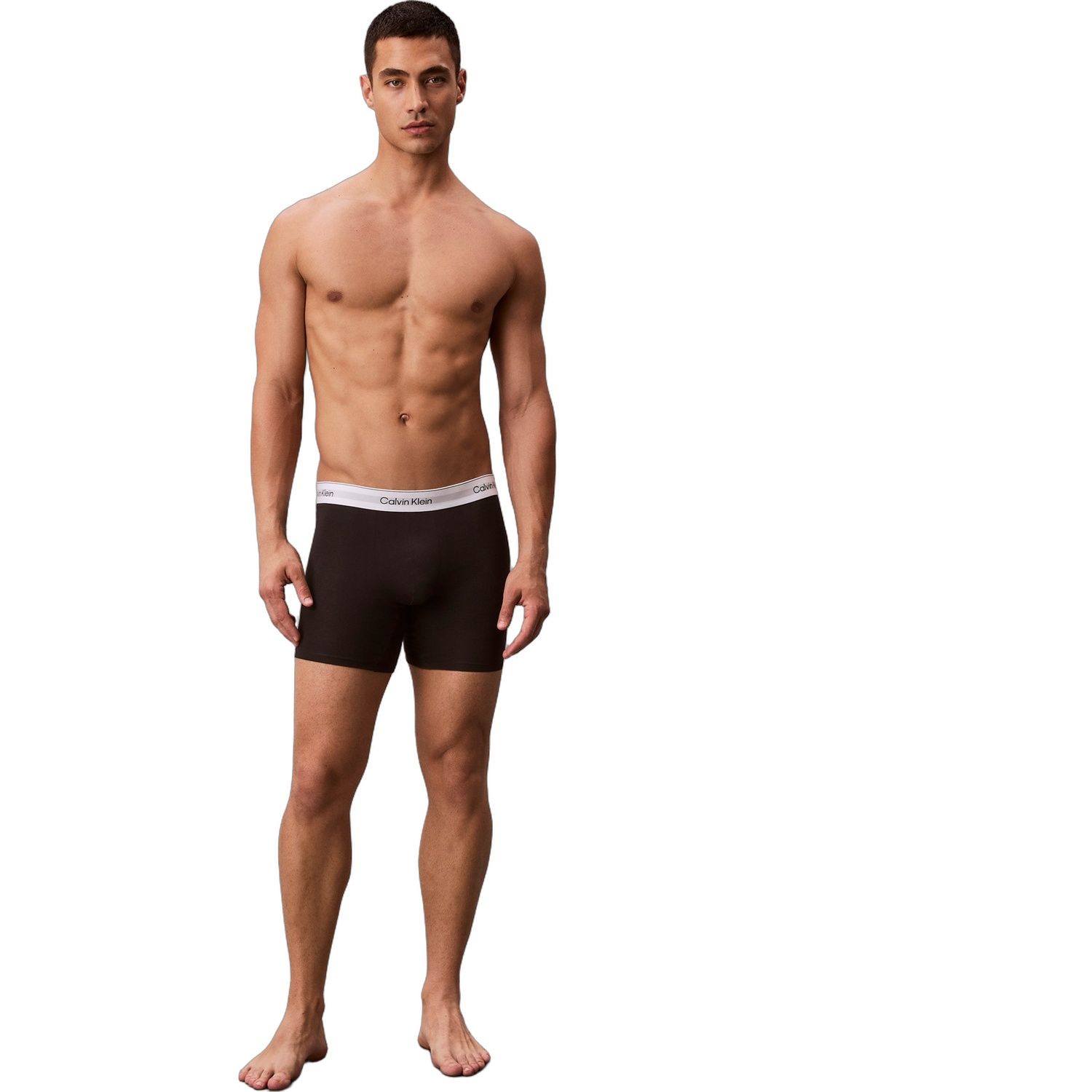 Calvin Klein Icon Cotton Stretch 3-Pack Boxer Brie LV00NB4394-UB1 - obrazek 2