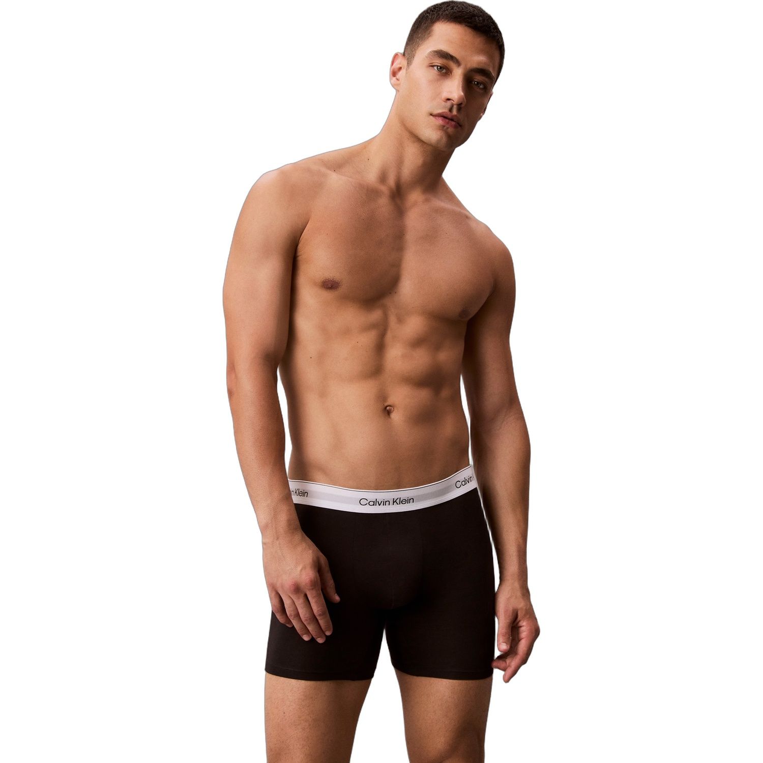 Calvin Klein Icon Cotton Stretch 3-Pack Boxer Brie LV00NB4394-UB1 - obrazek 7