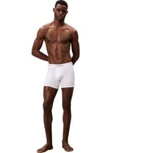 Calvin Klein Icon Cotton Stretch 3-Pack Boxer Brie LV00NB4394-100