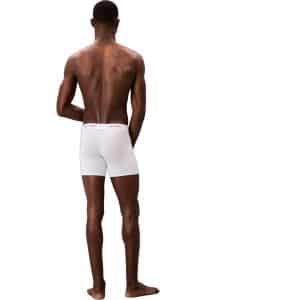 Calvin Klein Icon Cotton Stretch 3-Pack Boxer Brie LV00NB4394-100